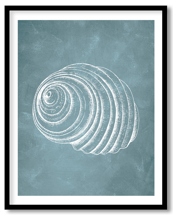 CRL-BLU-01-081.png