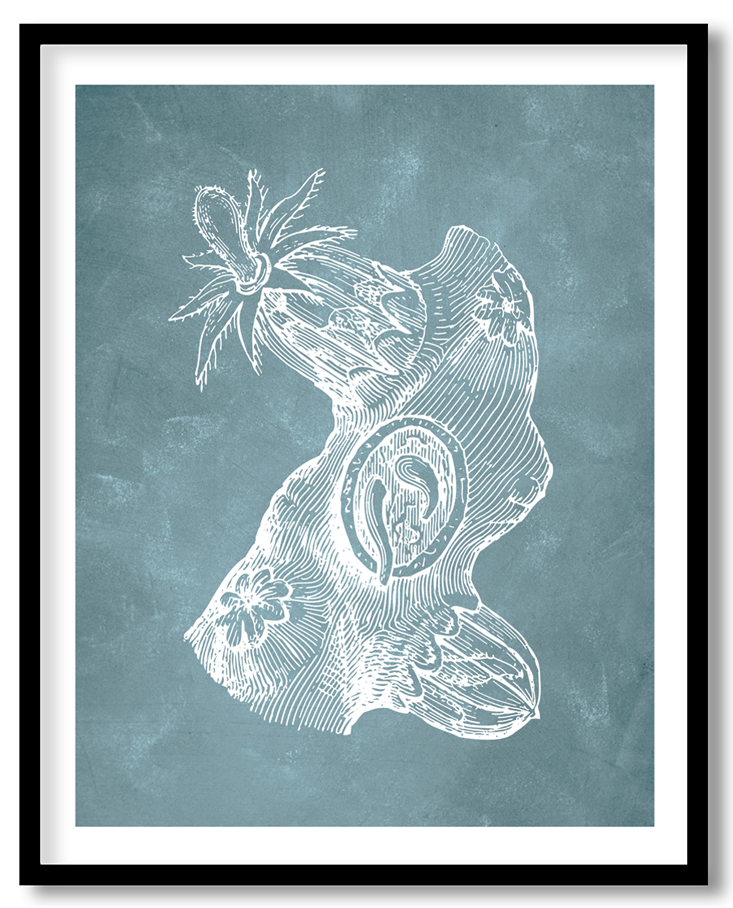 CRL-BLU-01-084.png