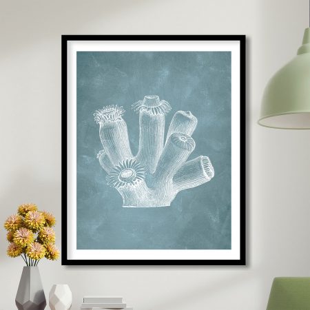 CRL-BLU-01-087-1.jpg CRL-BLU-01-087-1.jpg