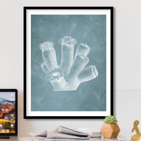 CRL-BLU-01-087.jpg CRL-BLU-01-087.jpg