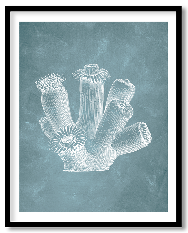 CRL-BLU-01-087.png CRL-BLU-01-087.png