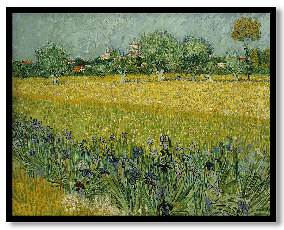 Field with Flowers near Arles by Vincent van Gogh (1888)