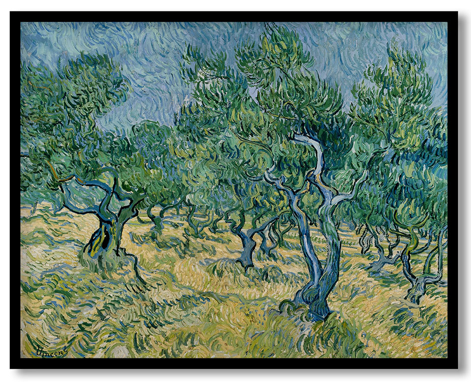 Olive grove by Vincent van Gogh (June 1889)