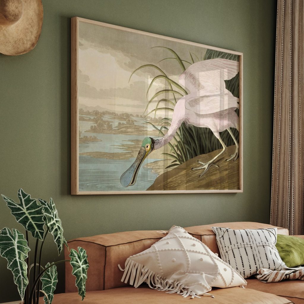 Roseate Spoonbill by Robert Havell, Jr. (1836)