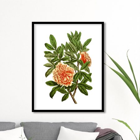 HREY-02-013-1.jpg HREY-02-013-1.jpg