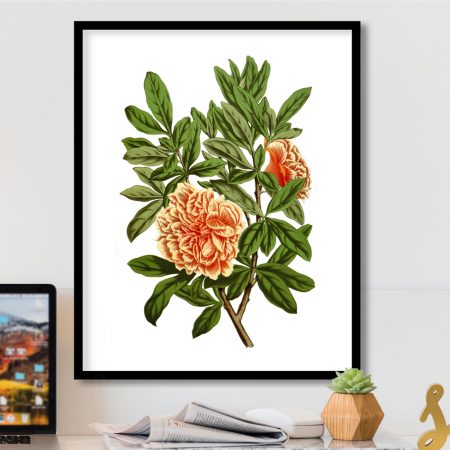 HREY-02-013.jpg HREY-02-013.jpg