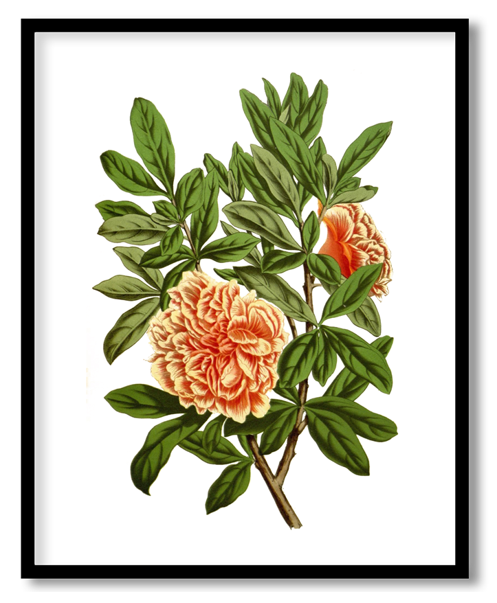 HREY-02-013.png HREY-02-013.png