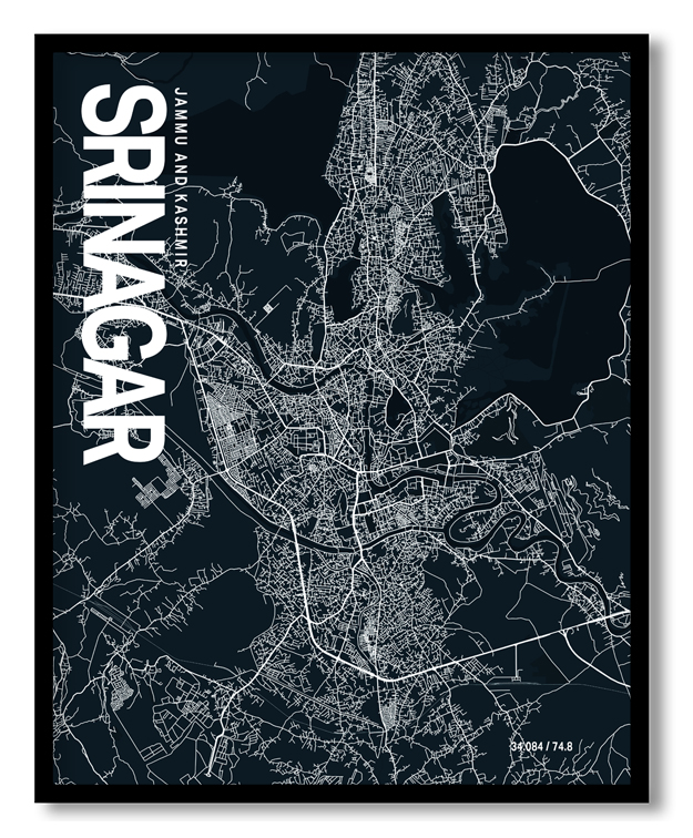 SRINAGAR-34.jpg