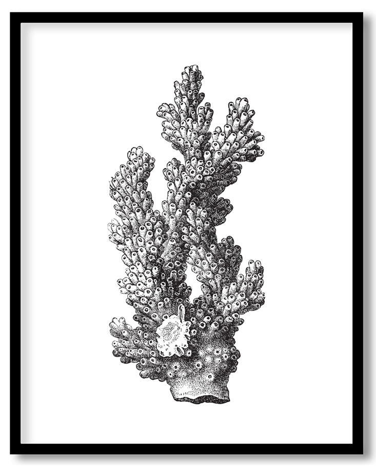 img-104.png