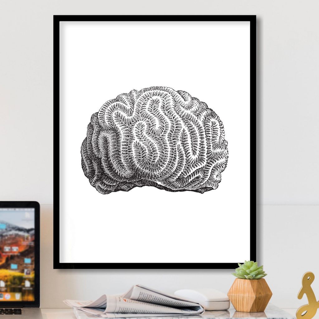Fine Art Human Brain – Wall Decor