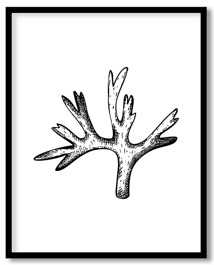 img-11.png