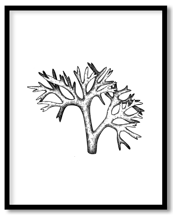 img-12.png