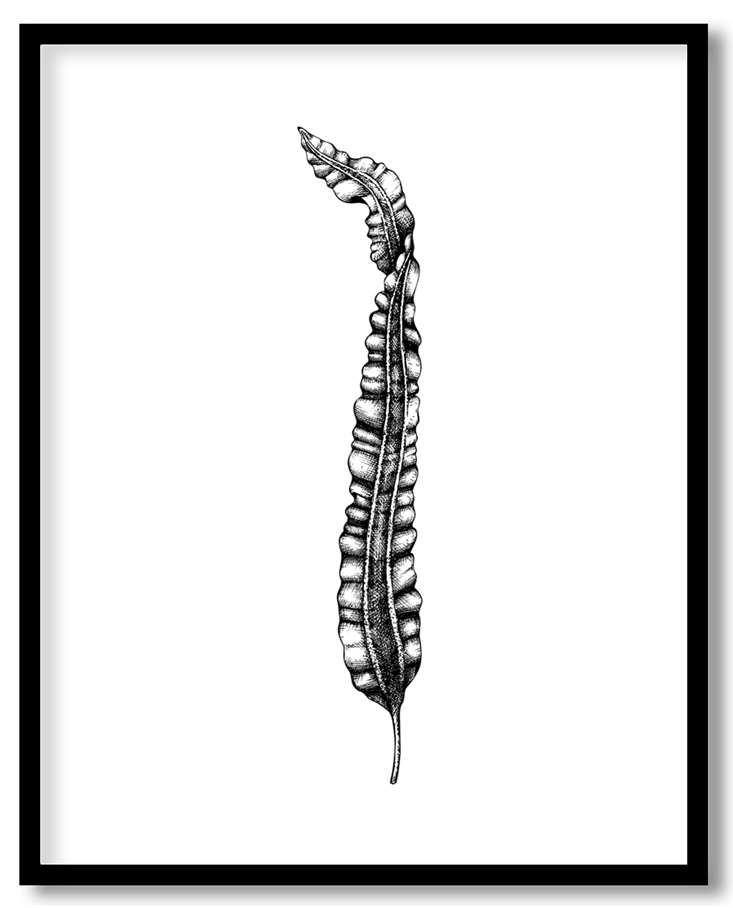 img-15.png