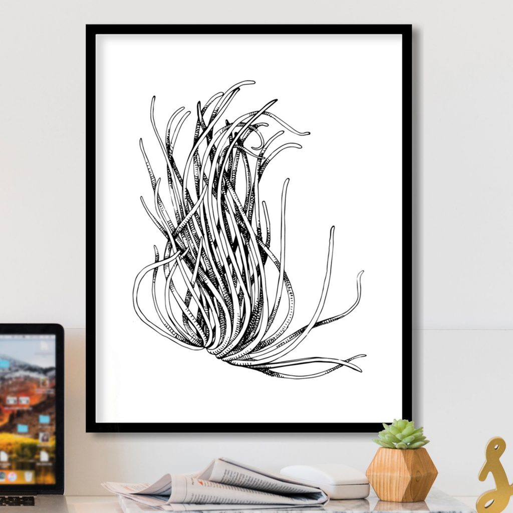 Botanical Organic Strands – Wall Art