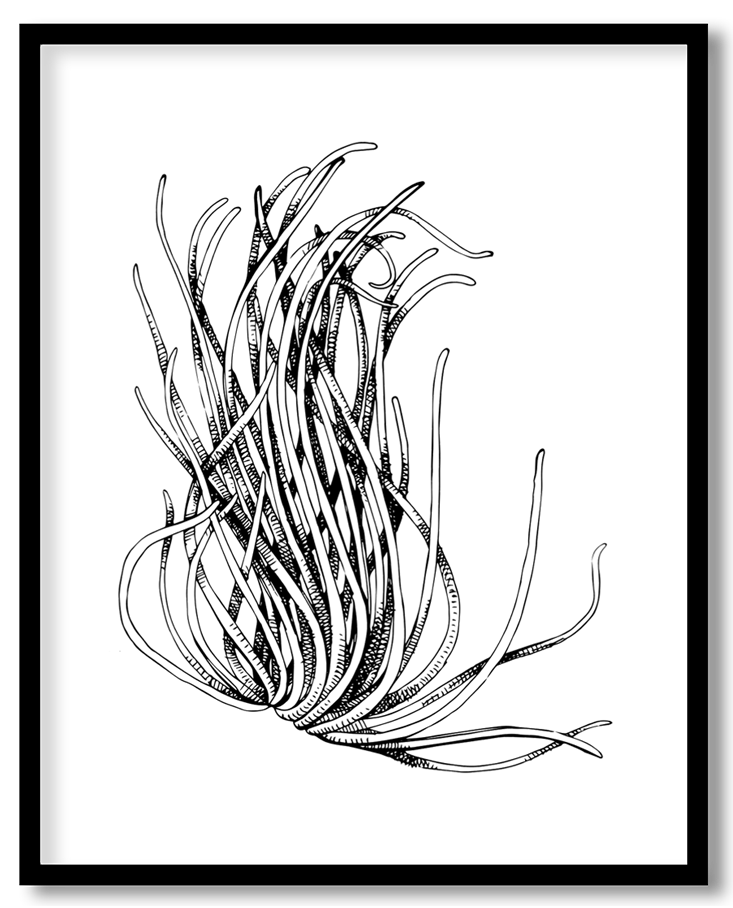 img-18.png