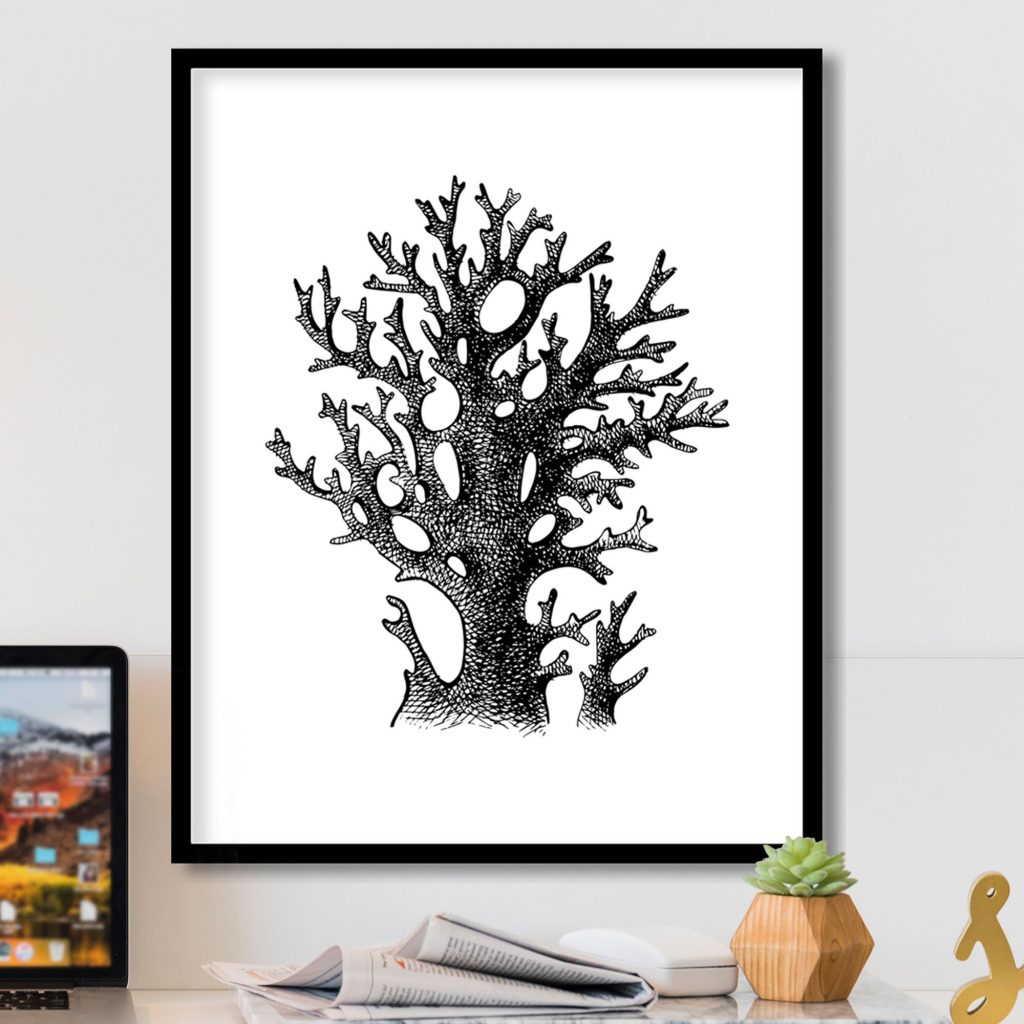 Nature Black and White Coral – Wall Decor