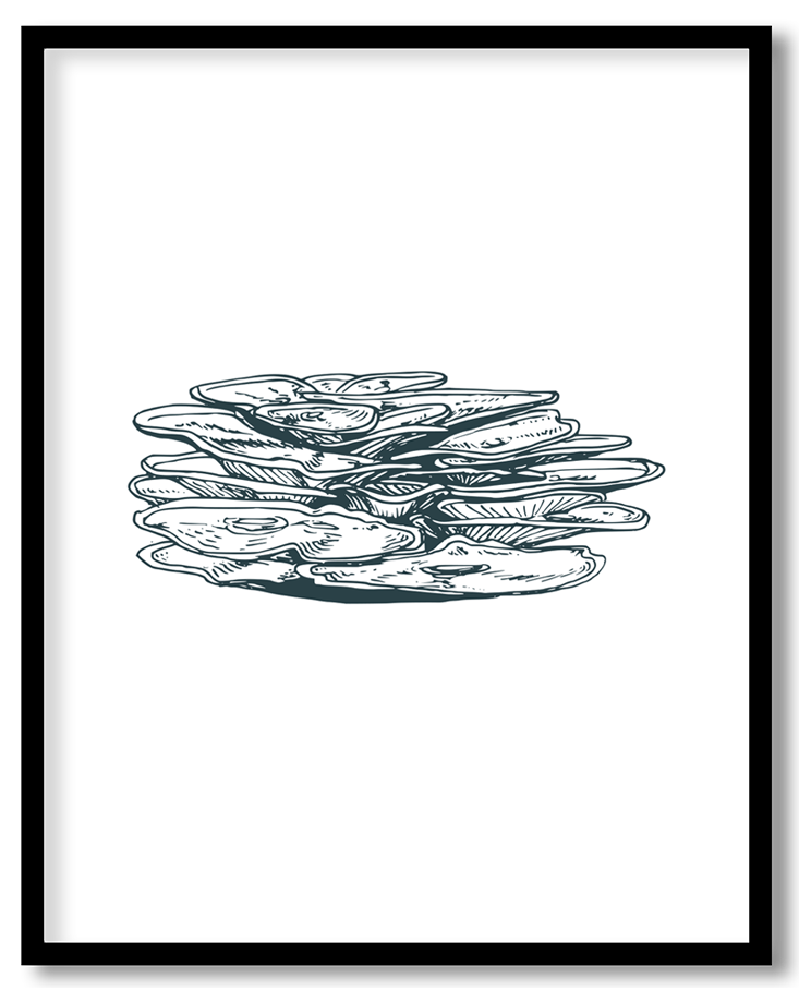 img-32.png