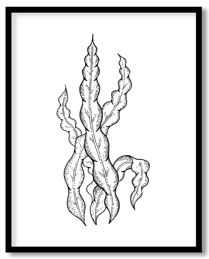 img-42.png