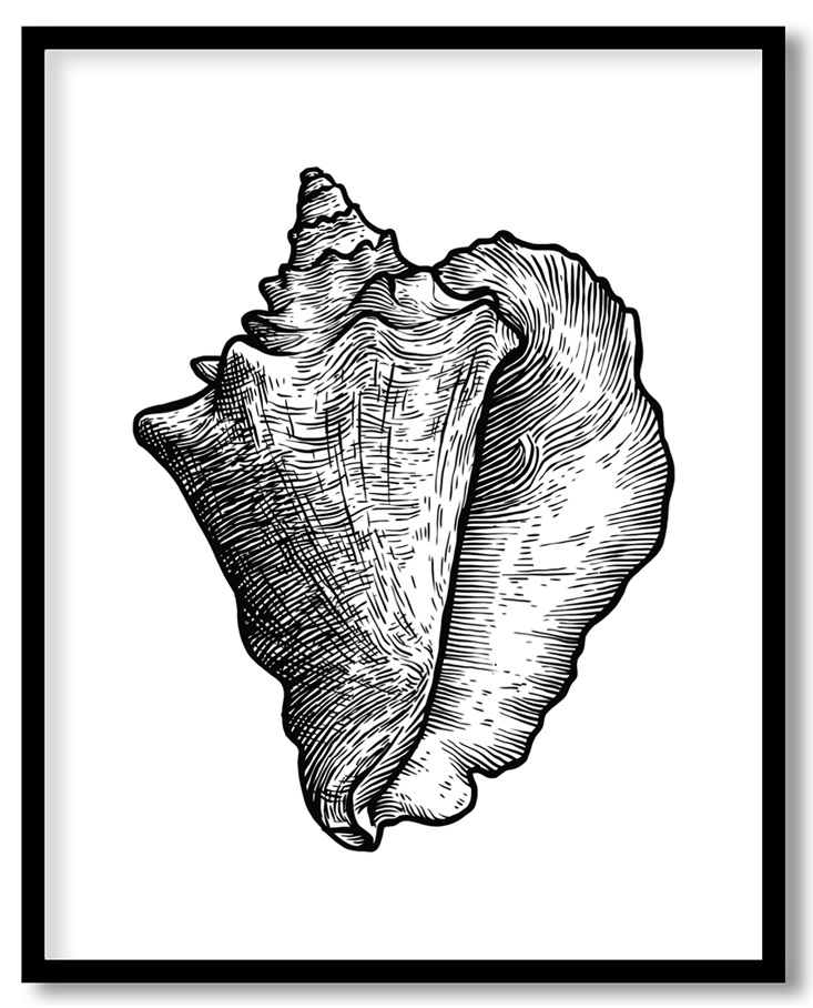 img-47.png