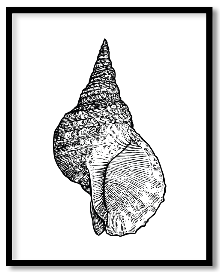 img-51.png
