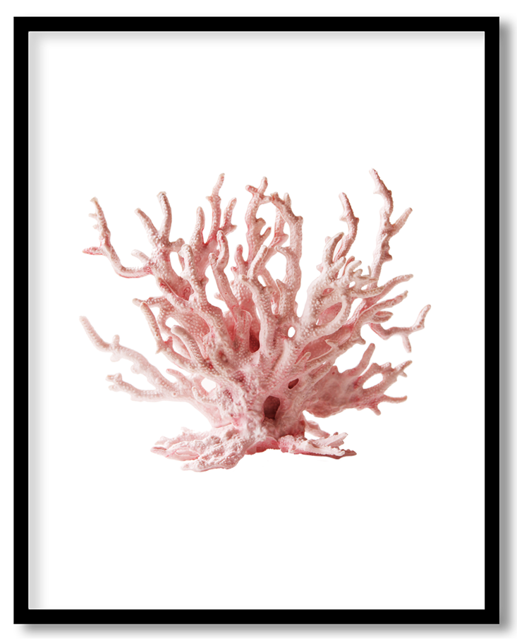 img-74.png