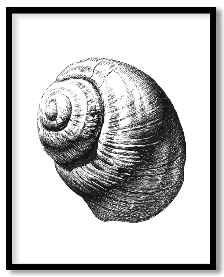 img-79.png
