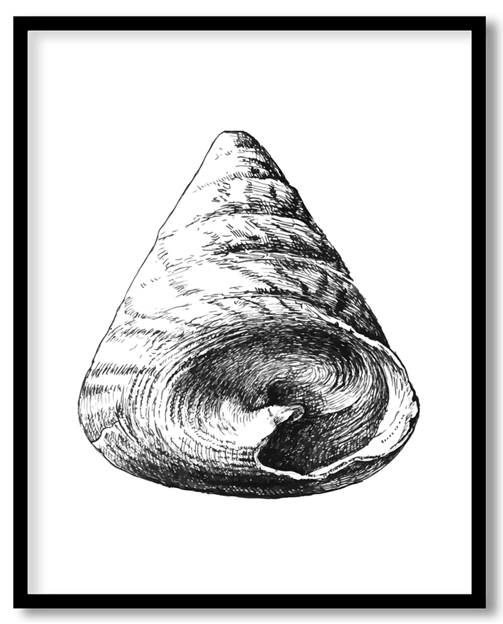 img-80.png