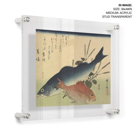 HGGL-ANC-01-2229-6.jpg HGGL-ANC-01-2229-6.jpg