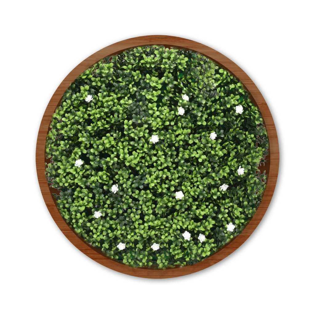 Alluring Essence Moss and Plants - CHOOSE SIZE: Se