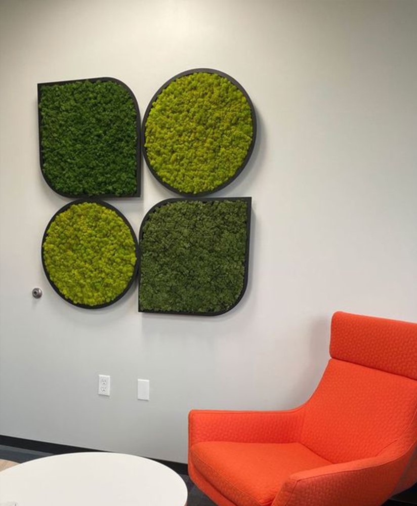 living room1- cropped