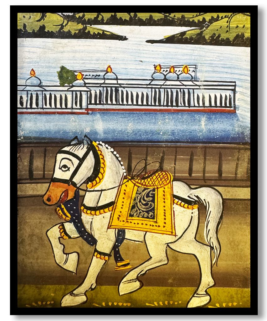 Royal ivory stallion