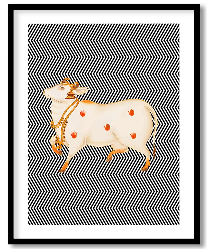 Contemporary snowy pichwai cow