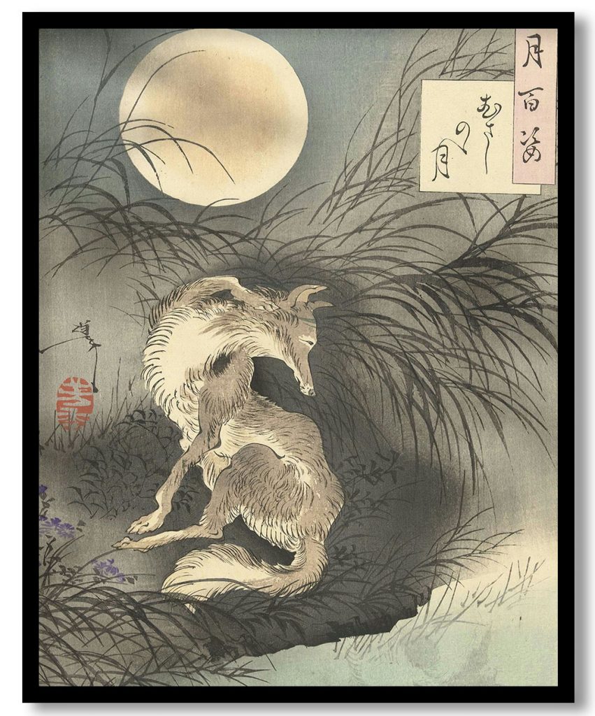 Maan van Musashi by Tsukioka Yoshitoshi (1891)