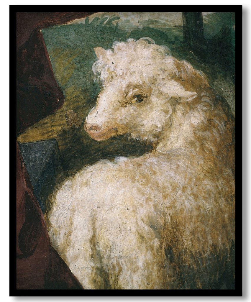 A lamb. Detail of the intrados inner band of St. Benedict's Chapel. Left transept by Michelangelo Anselmi (1522-23)