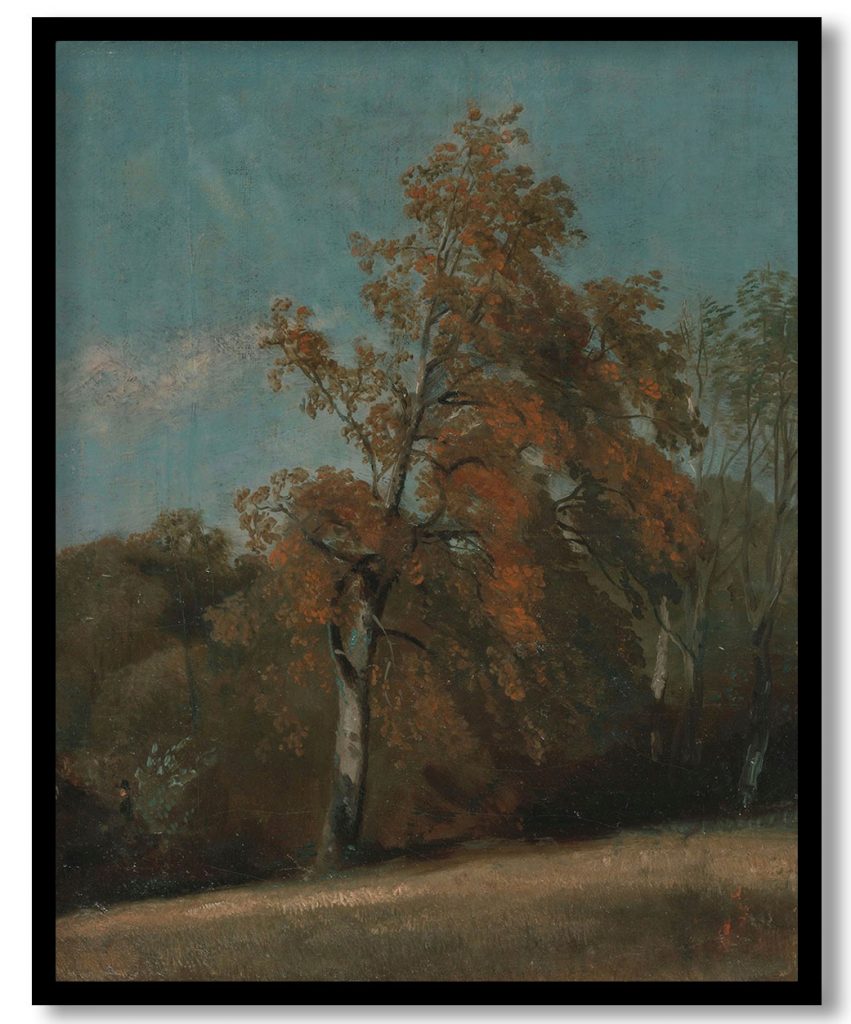 Study of an Ash Tree by John Constable (1801-03 )