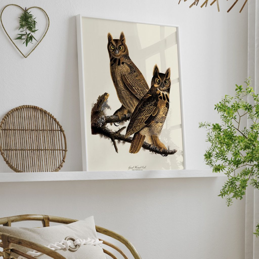 Great Horned Owl by John James Audubon