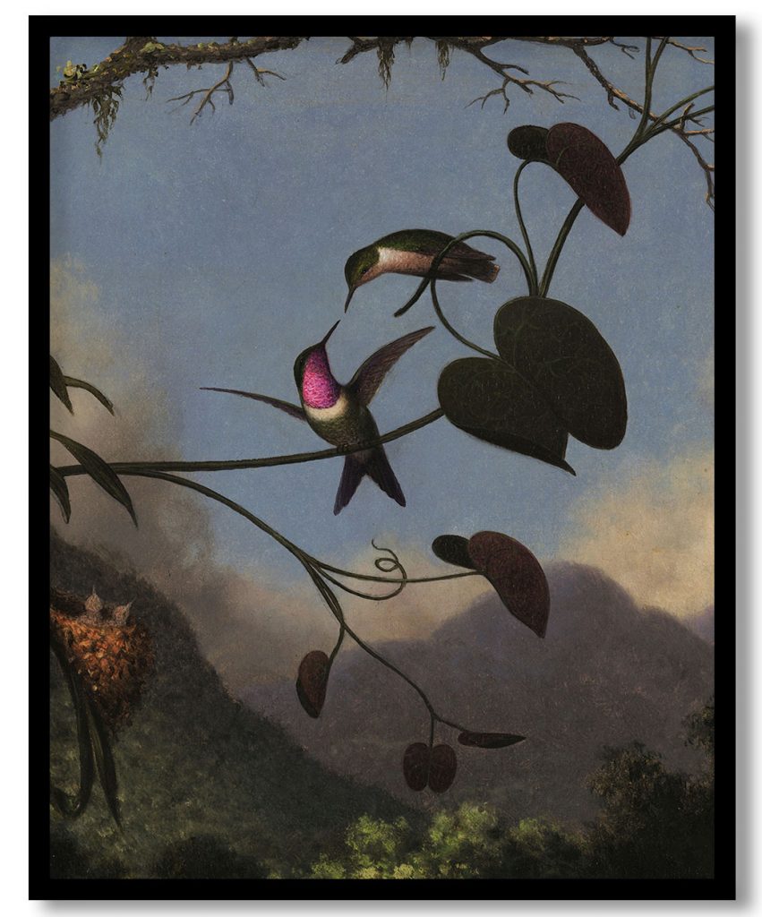 Amethyst Woodstar by Martin Johnson Heade (1863)