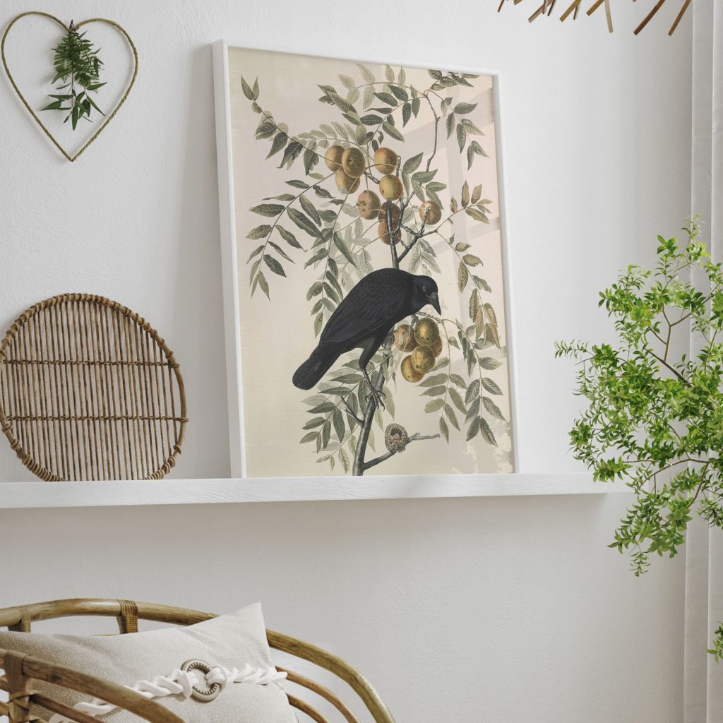 American Crow. Corvus americanus. Male. Black Walnut. Inglans nigra. Nest of the Ruby-throated Humming Bird by John James Audubon (1833)