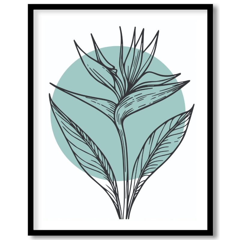 Bird Of Paradise- Line Art