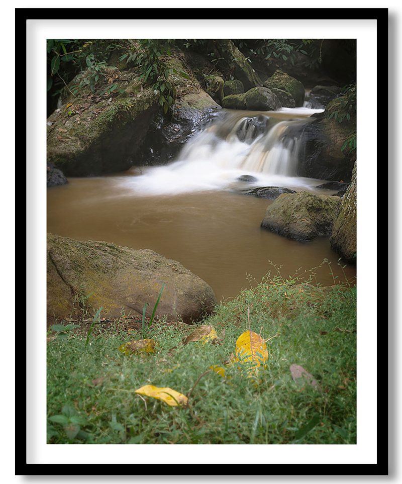 Waterfall in forest river nature landscape