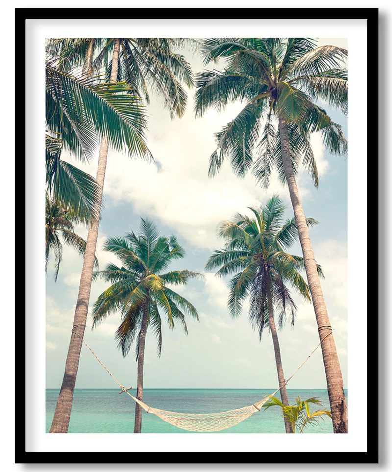 Palms at the beach with hamrock