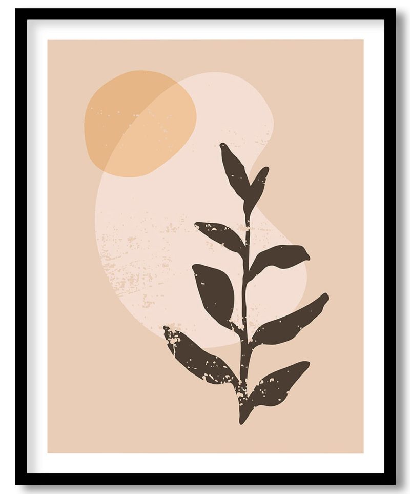 Always follow the sunlight