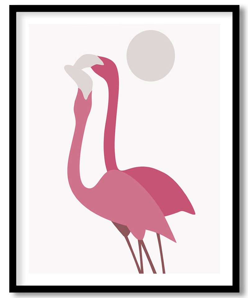 Couple of flamingo