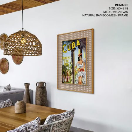 46455-CP1-DR1.jpg 46455-CP1-DR1.jpg