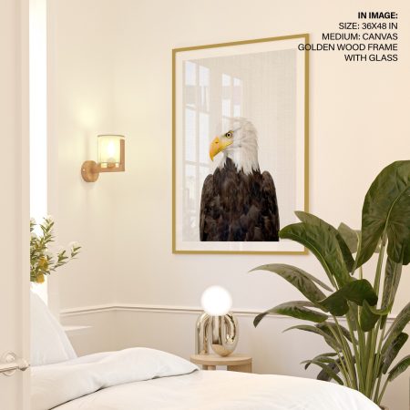 Nature Bald Eagle Portrait – Wall Decor