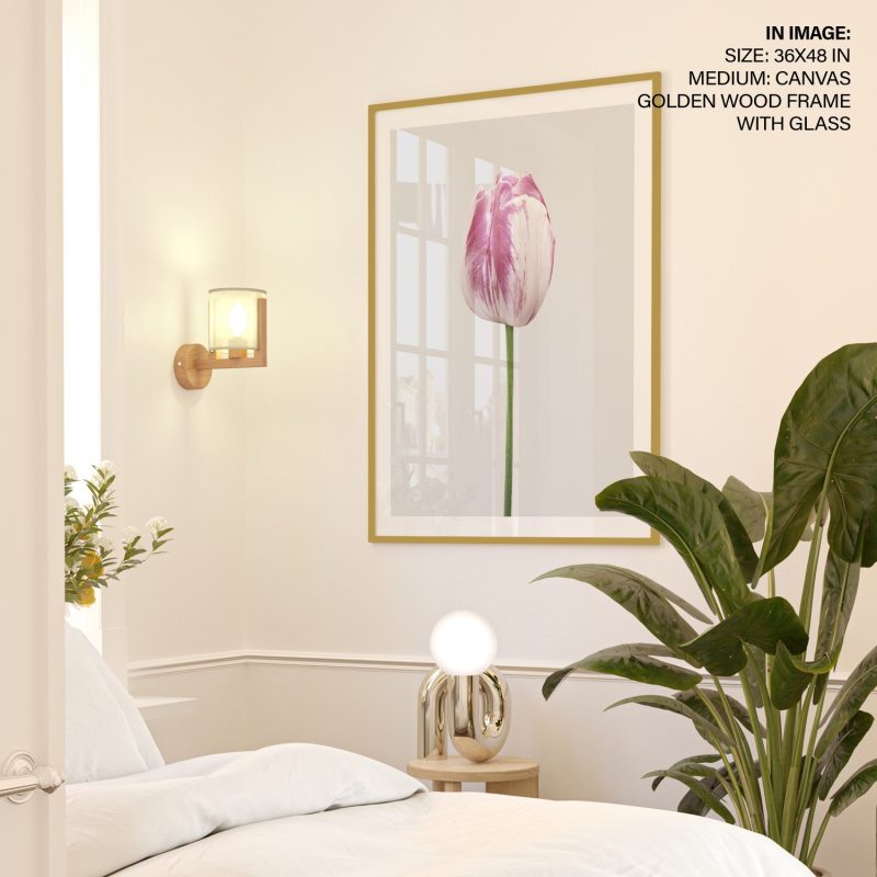 Botanical Pink Variegated Tulip – Wall Decor