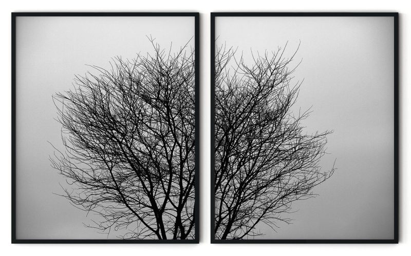 Nature Artist - Trees hugging Framed Wall Art (Set of 2), Nature Art, Minimalist, Botanical - Choose Size and Frame Color