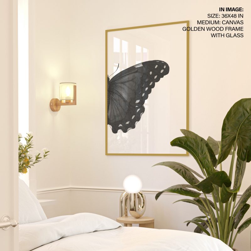 Nature Black White Butterfly Wing – Wall Painting