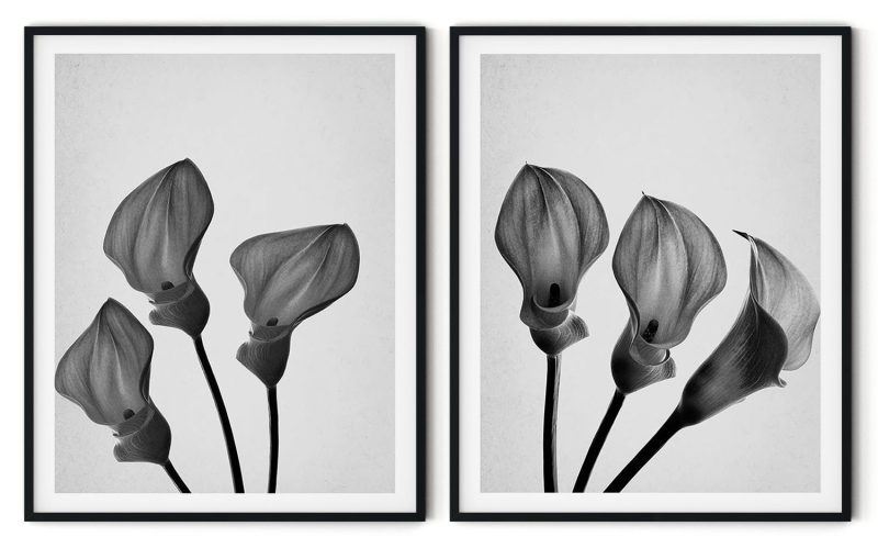 Set of 2 grayscale flowers