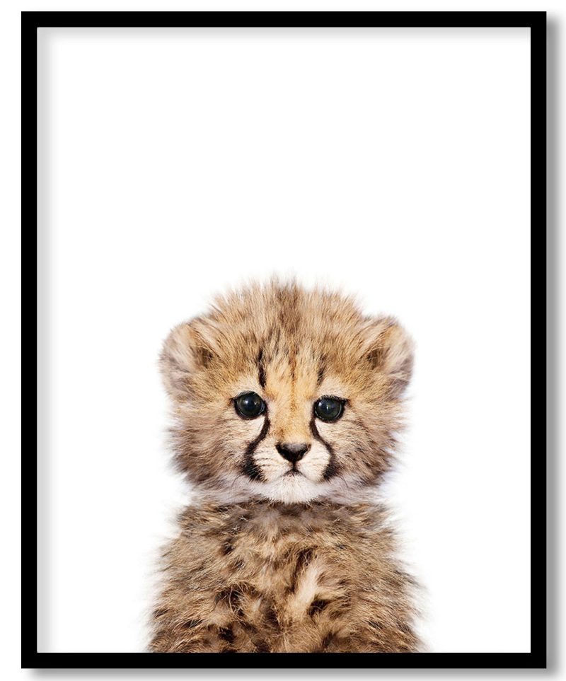 Baby cheetah print, Safari nursery art, Baby animal wall art, Nursery wall decor, Baby room prints, Nursery art prints